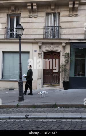 Scène de rue parisienne : chien marchant devant le bâtiment historique et le lampadaire Banque D'Images