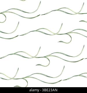 Motif aquarelle sans couture avec feuilles fluides vertes et douces isolées. Fond de répétition botanique élégant avec des éléments de feuillage ondulés horizontaux à la main Banque D'Images