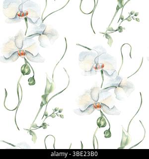 Orchidées blanches, fleurs de lis et tiges douces aquarelle sans couture motif isolé. Élégant fond de répétition florale dessiné à la main pour les textiles de mariage Banque D'Images