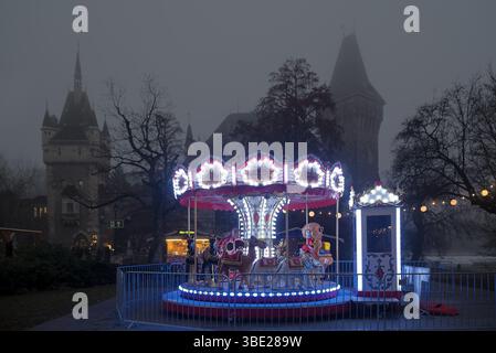 Carrousel dans le parc, nuit brumeuse Banque D'Images