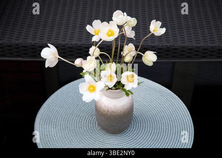 Petit sylvestris d'anémone minimaliste communément connu sous le nom d'anémone de goutte de neige ou bouquet de fleur de vent dans un vase gris et un tapis de place de couleur grise sur une table à la maison noire Banque D'Images