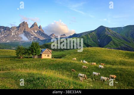 France, Savoie (73), Albiez-Montrond, vaches dans les alpages (AOC Beaufort) au pied des aiguilles d'Arves, de gauche à droite l'aiguille Septentrionale ou Tête de Chat (3364 m), l'aiguille centrale (3513 m) et l'aiguille méridionale (3514 m) Banque D'Images