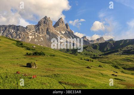France, Savoie (73), Albiez-Montrond, vaches dans les alpages (AOC Beaufort) au pied des aiguilles d'Arves, de gauche à droite l'aiguille Septentrionale ou Tête de Chat (3364 m), l'aiguille centrale (3513 m) et l'aiguille méridionale (3514 m) Banque D'Images