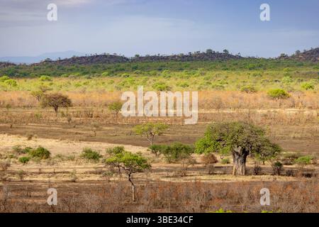 Tanzanie, Randilen, AMM (Wildlife Management Area), paysage à la fin de la saison sèche Banque D'Images