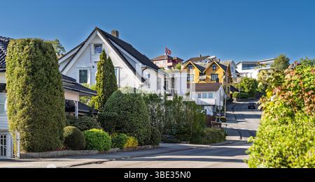 Quartier paisible avec de charmantes maisons à l'architecture unique, des jardins luxuriants et un ciel clair. Vue panoramique d'un spectacle de quartier résidentiel serein Banque D'Images