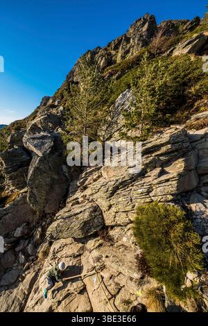 France, Ardèche, Sainte-Eulalie, Mont Gerbier de jonc, sources de la Loire Banque D'Images