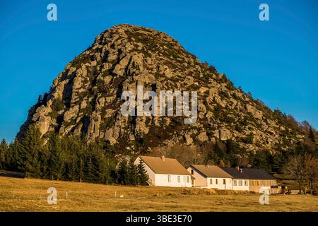 France, Ardèche, Sainte-Eulalie, Mont Gerbier de jonc, sources de la Loire Banque D'Images