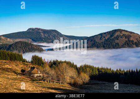 France, Ardèche, Sainte-Eulalie, Mont Gerbier de jonc, sources de la Loire Banque D'Images