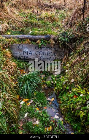 France, Ardèche, Sainte-Eulalie, Mont Gerbier de jonc, sources de la Loire Banque D'Images