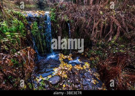 France, Ardèche, Sainte-Eulalie, Mont Gerbier de jonc, sources de la Loire Banque D'Images