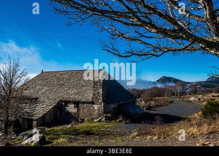 France, Ardèche, Sainte-Eulalie, Mont Gerbier de jonc, sources de la Loire Banque D'Images