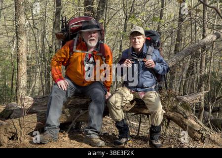Une promenade dans les bois année : 2015 USA réalisé par Ken Kwapis Robert Redford, Nick Nolte Banque D'Images