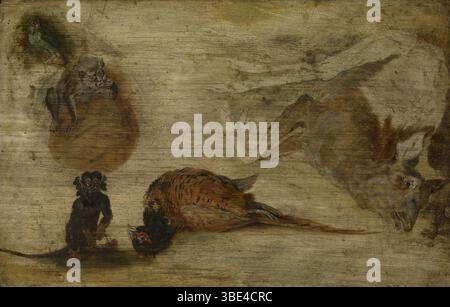 Jan i Brueghel - étude des singes, un cerf et d'autres animaux Banque D'Images