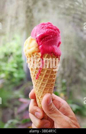 Fusion sorbet fruit de la passion et cône de crème glacée à la framboise à la main Banque D'Images