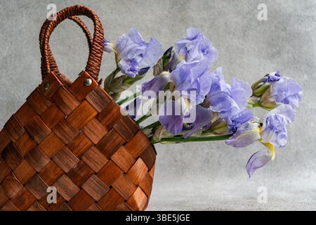 Vue rapprochée d'un panier tissé brun accompagné de fleurs d'Iris en fleurs, présenté sur une surface grise texturée. Banque D'Images