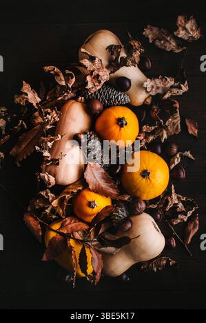 Un arrangement artistique mettant en vedette des citrouilles vibrantes entourées de pommes de pin, de glands et de feuilles sèches. Cet affichage rustique capture l'essence de l'automne Banque D'Images