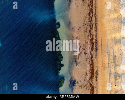 Vue aérienne d'un littoral présentant des eaux turquoises de l'océan et une plage de sable fin sur la Great Ocean Road, en Australie. Les vagues douces et les algues créent dedans Banque D'Images