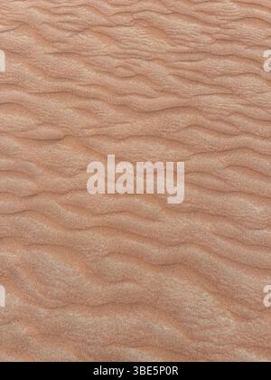Vue rapprochée de la texture de sable ondulé trouvée dans le désert de Wahiba Sands, Oman. Les grains fins forment des motifs complexes, mettant en valeur la beauté de th Banque D'Images