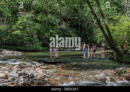 Familles qui pataugeaient dans la rivière Hiawassee dans la réserve naturelle de Fires Creek près de Hayesville, Caroline du Nord, États-Unis Banque D'Images