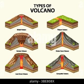 Illustration vectorielle détaillée de six types de volcans avec des sections transversales, mettant en évidence les caractéristiques géologiques et les chemins de coulée de lave Illustration de Vecteur