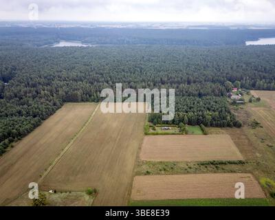 Forêt et champs près de la ville de Leipalingis, municipalité de Druskininkai, comté d'Alytus en Lituanie Banque D'Images