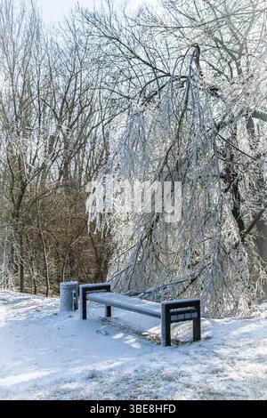 Banc gelé dans le parc de la ville d'hiver, arbre couvert de neige Banque D'Images