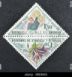Timbre-poste oblitéré imprimé par le Cameroun, qui montre des fleurs de Hoodia gordonii et de Grinum, vers 1967. Banque D'Images