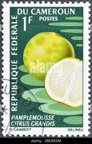 Timbre-poste oblitéré imprimé par le Cameroun, qui montre Pomelo (Citrus grandis), vers 1967. Banque D'Images