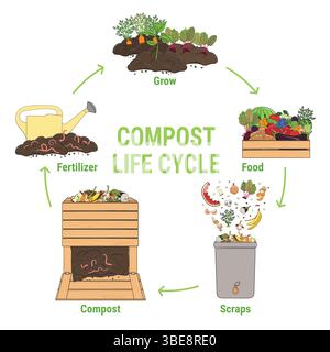Infographie du cercle de vie compost. Schéma de recyclage des déchets organiques provenant de la collecte des déchets de cuisine pour utiliser le compost pour l'agriculture. Agriculture durable Illustration de Vecteur