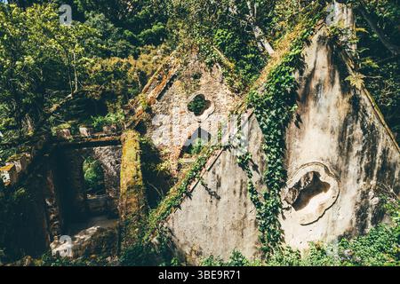 Ruines anciennes envahies de lierre et de mousse, arcades en pierre de style gothique et fenêtres circulaires uniques, nichées dans la forêt luxuriante et verdoyante Banque D'Images
