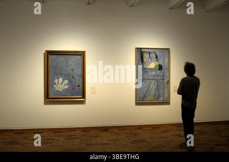 fundacio Miró , Montjuic exposicion Miró y Matisse . Publico mirando atentamente las obras del museo. Henri Matisse ; Barcelone, España, artistas contemporaneos, arte contemporaneo, Francia, Joan Miro, Matisse, Banque D'Images