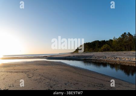 Une scène de plage paisible comprend une rivière sinueuse et des arbres baignés de lumière du matin. Banque D'Images