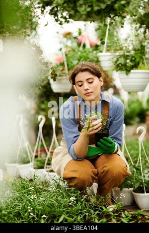Dans une serre sereine, une jeune femme s'agenouille, prenant soin joyeusement de ses plantes florissantes. Banque D'Images