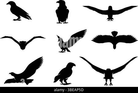 Conception de tatouage de silhouette d'oiseau d'aigle et de faucon – oiseaux prédateurs volants sous forme vectorielle Illustration de Vecteur