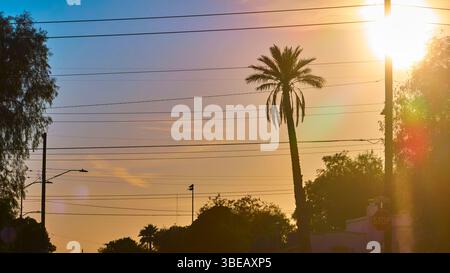 Palm Tree et Power Lines à Sunset Suburban Street Golden Hour vue au niveau des yeux Banque D'Images