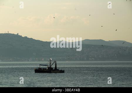 Un bateau de pêche traverse la mer de Galilée au crépuscule, avec des oiseaux qui tournent autour et des collines lointaines encadrant les eaux sereines du nord d'Israël. Banque D'Images