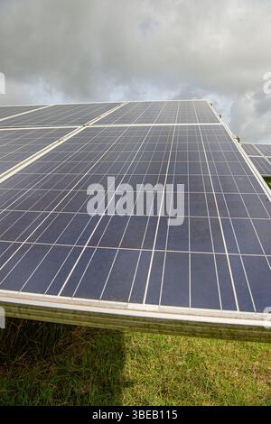 gros plan d'un panneau solaire sur une ferme solaire Banque D'Images