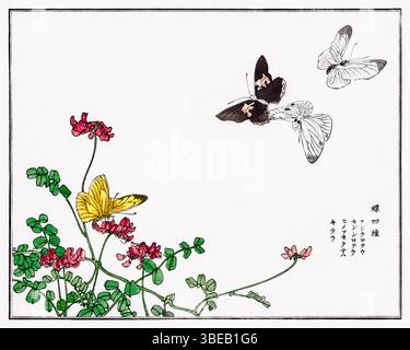 Imprimé japonais amélioré numériquement 1910 de papillons et de fleurs par Morimoto Toko, de Churui Gafu - Elegant Taisho-ERA Kacho-GA entomologique et fl Banque D'Images