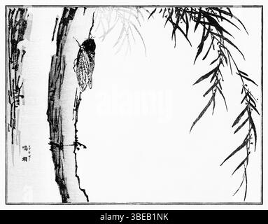 Cicada de Morimoto Toko, 1910 - imprimé kacho-GA japonais finement détaillé de Churui Gafu, art entomologique de l'ère Taisho mêlant science et esthétique Banque D'Images