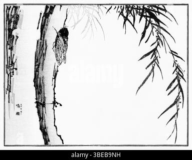 Cicada de Morimoto Toko, 1910 - imprimé kacho-GA japonais finement détaillé de Churui Gafu, art entomologique de l'ère Taisho mêlant science et esthétique Banque D'Images