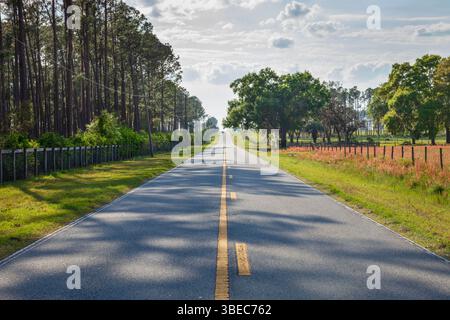 Vue en angle bas de l'autoroute asphaltée à deux voies dans le centre rural de la Floride par un après-midi ensoleillé Banque D'Images