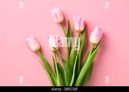 Bouquet de tulipes sur fond rose Banque D'Images