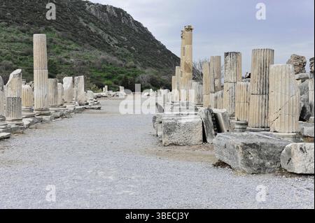 Ruines antiques avec des colonnes de marbre dispersées le long d'un chemin de gravier dans un paysage vallonné, Turquie, Éphèse : les touristes rencontrent des preuves impressionnantes de romain Banque D'Images