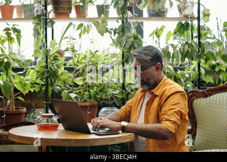 Homme d'âge moyen travaillant sur ordinateur portable dans une serre intérieure remplie de diverses plantes vertes. Théière et tasse sur table dans un cadre rustique Banque D'Images