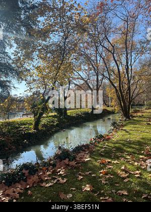 Scène d'automne dans le parc El Retiro, Madrid, Espagne, avec des arbres reflétant dans l'étang par un après-midi ensoleillé Banque D'Images