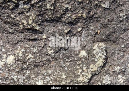 Gros plan d'une surface rocheuse rugueuse altérée par les intempéries avec des plaques de lichen Banque D'Images