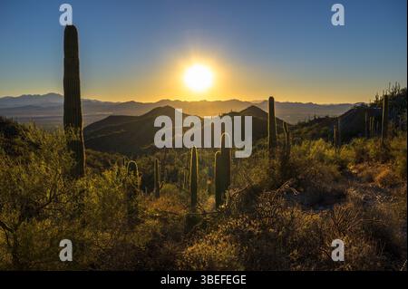Coucher de soleil sur les collines couvertes de Saguaro à King Canyon Trailhead, Arizona Banque D'Images