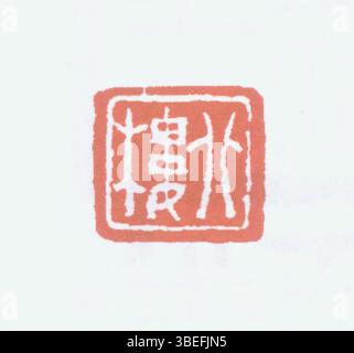 Un sceau chinois traditionnel avec des caractères simplifiés, gravé pour servir de marque personnelle ou officielle. Banque D'Images