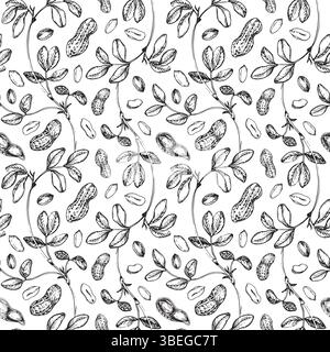 Motif vectoriel sans couture d'arachide dessiné à la main avec de l'encre. Ornement graphique avec noix entières et coupées Illustration de Vecteur