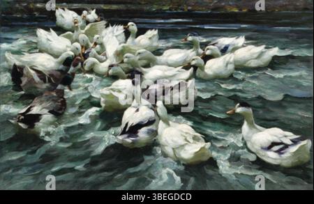 « Canards dans un étang » d'Alexander Koester (1864–1932) représente une scène sereine de canards dans un étang, capturant la tranquillité du monde naturel. L'œuvre met en valeur l'expertise de Koester dans la peinture animalière et son souci du détail dans la représentation des animaux et de l'eau. Banque D'Images